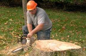 Expert Road Construction for Maximum Durability: Dependable Road Building in Sandpoint, ID, for Smooth, Long-Lasting, and High-Quality Roads