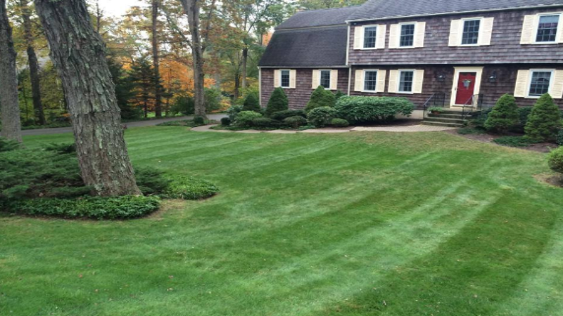 How Artificial Turf Works Around Pool Decks and Splash Zones