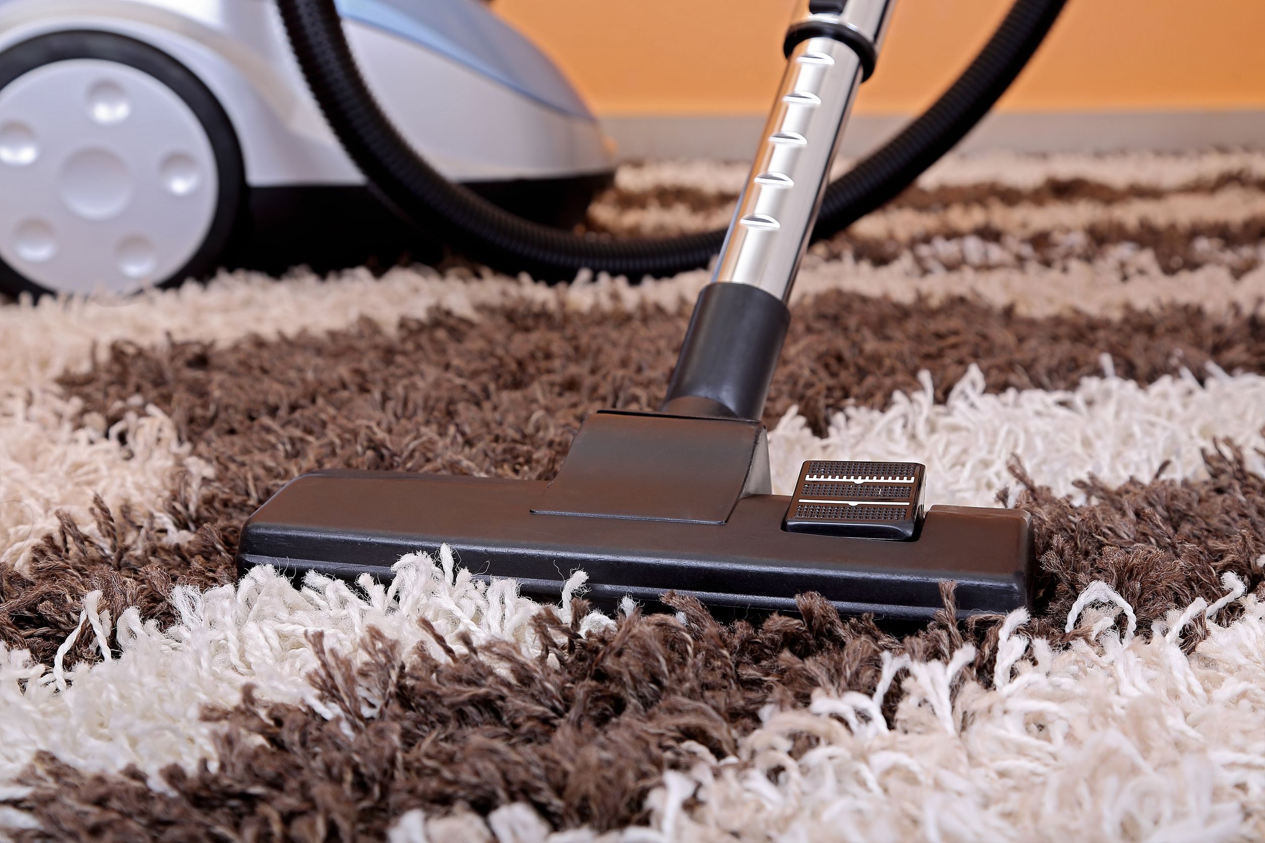No More Dirty Carpets With A Carpet Cleaner In Dallas TX