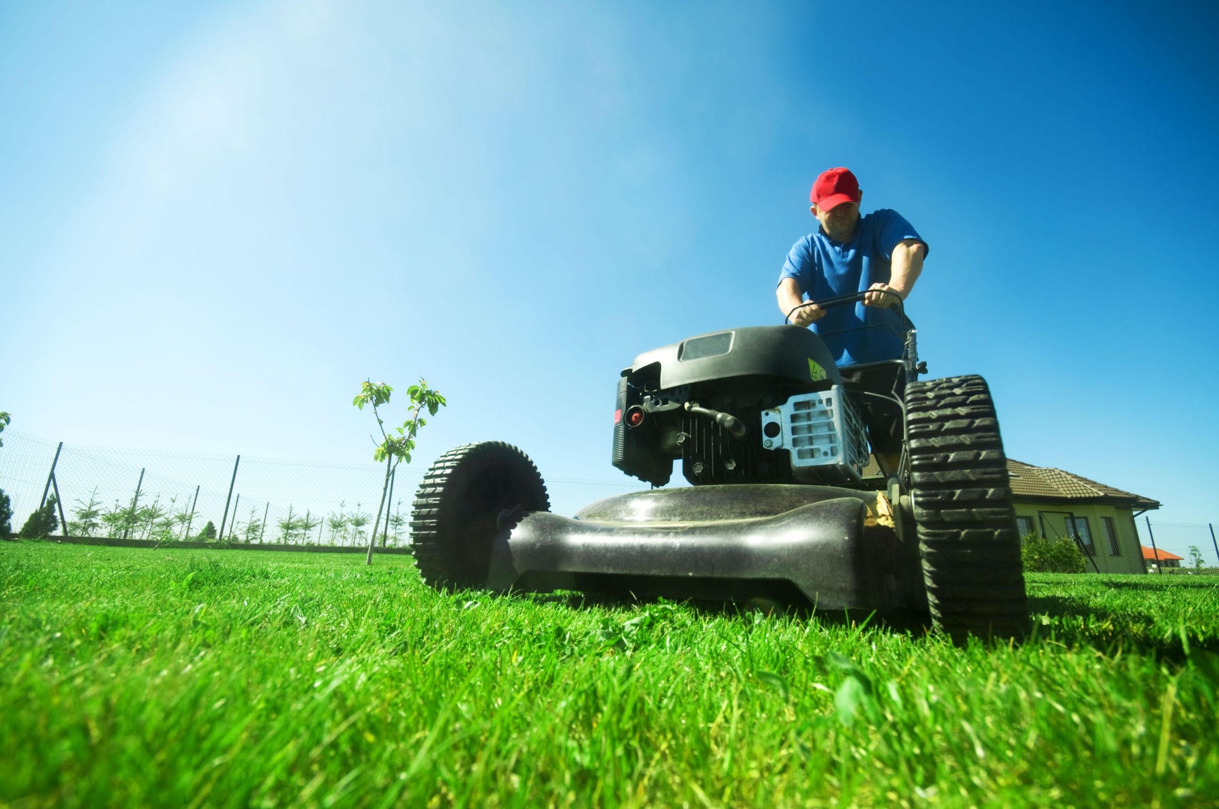 Transform Your Outdoor Space Using Expert Lawn Care Services Fort Mill SC Offers