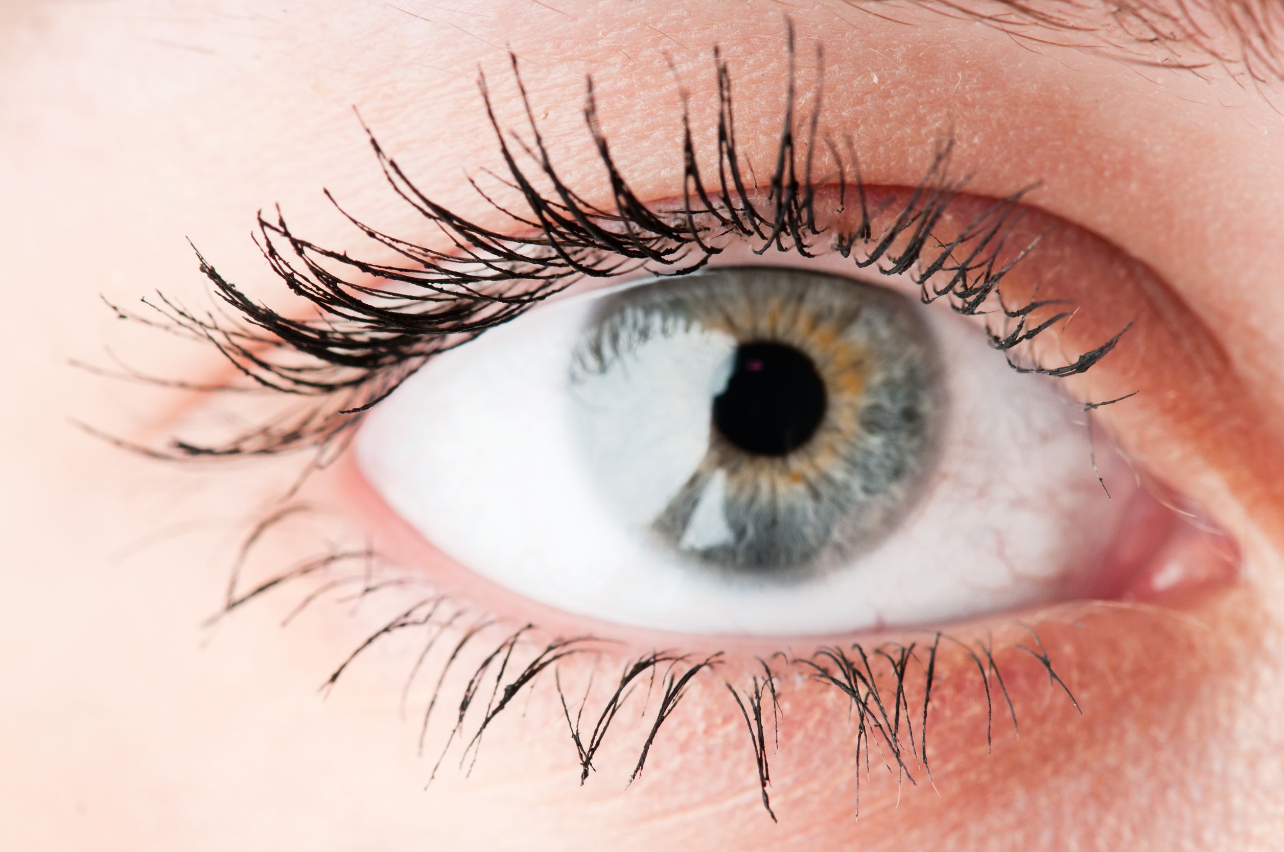 Understanding Eye Styes Cause, Symptoms, and Treatment Options Easy Articles