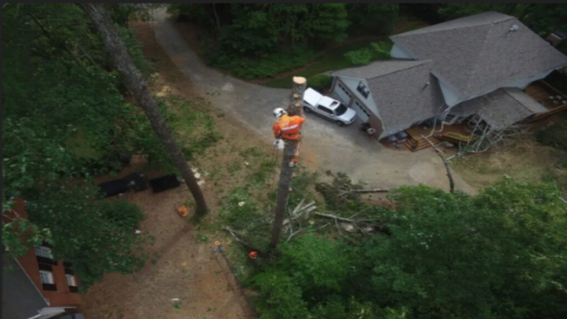 How to Know When You Need a Tree Cutting Service in Smyrna, GA