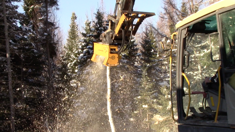 A Mini Excavator Forestry Mulcher Can Clear Any Area in No Time