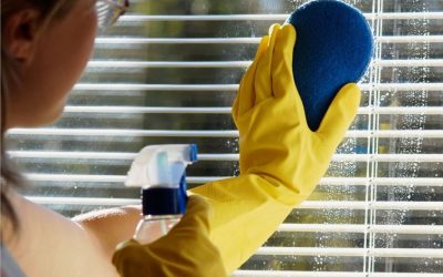 Find a Company That Offers Soft Wash House Washing in Fenton, MI