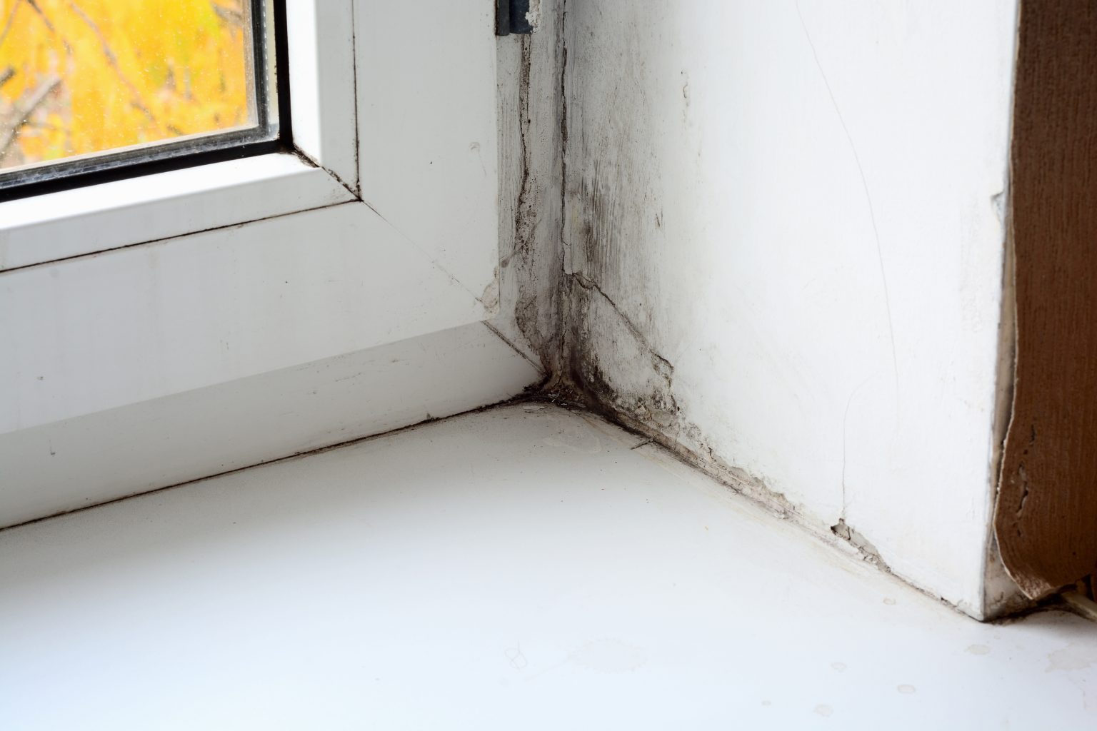 When Should You Hire A Professional For Water Damage Restoration In Long Island NY?