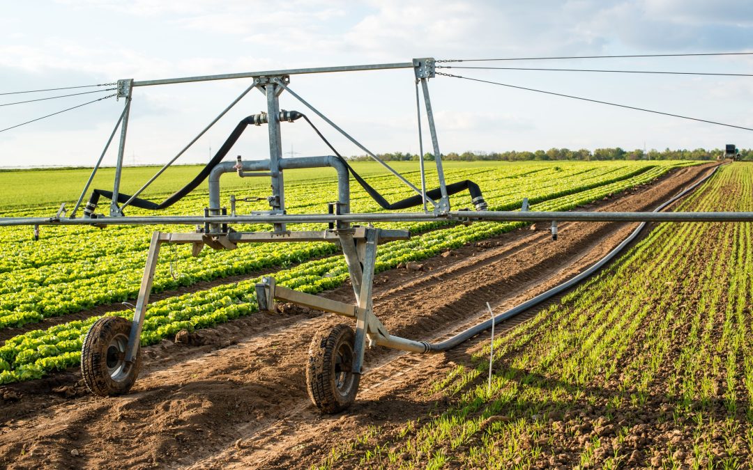 Realizing Carbon Farming Technology’s Potential for a Sustainable Future