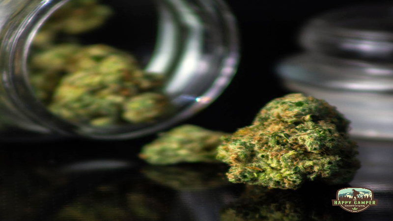 THC Edibles Guide: What New Users Should Know Before Trying