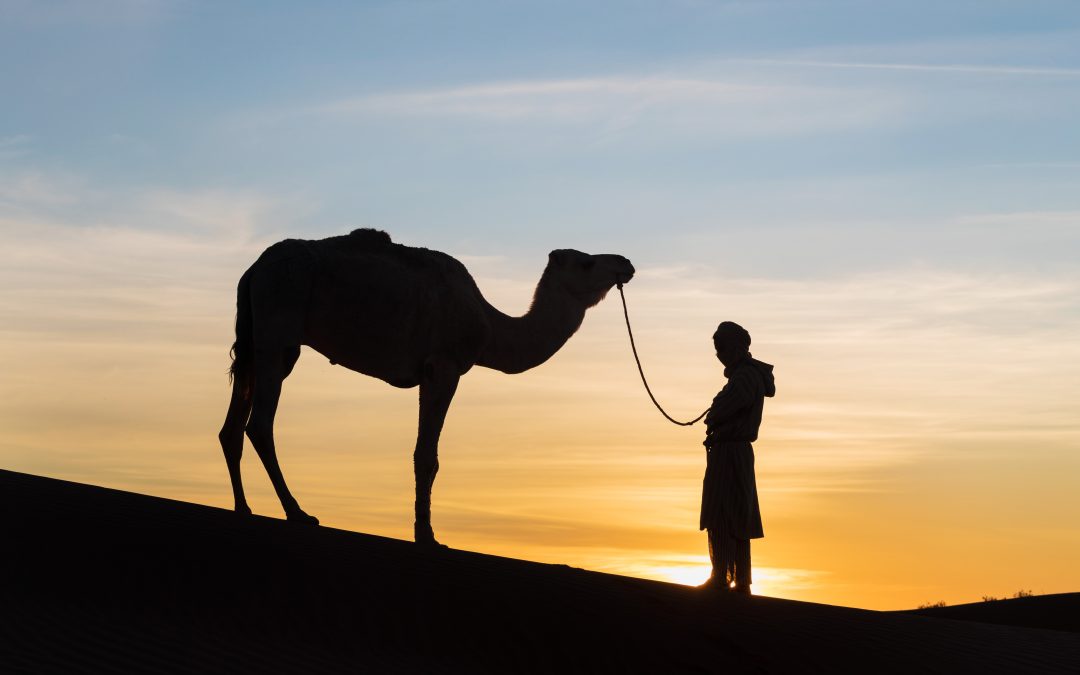 How a 3-Day Desert Marrakech to Chegaga Dunes trip transforms your travel outlook