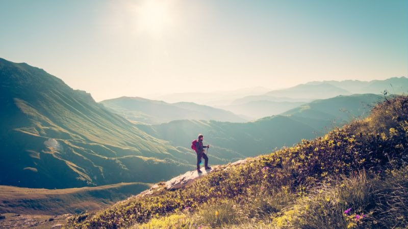 Maximize Fun And Relaxation Through Guided Tours During Your Alaska Outdoor Adventure Journey