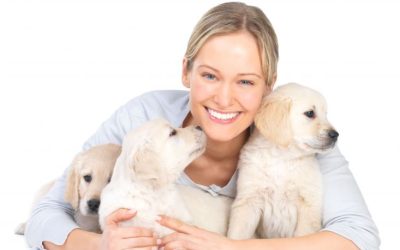 Unmatched Peace Of Mind With Dog Boarding In Manhattan Pet Parents Trust For Comfort And Care