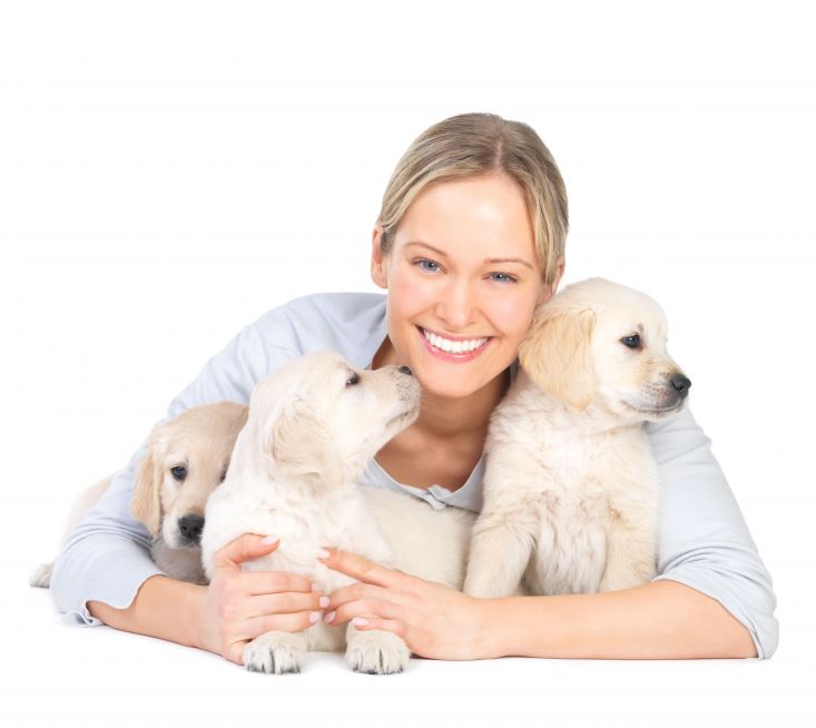 Unmatched Peace Of Mind With Dog Boarding In Manhattan Pet Parents Trust For Comfort And Care