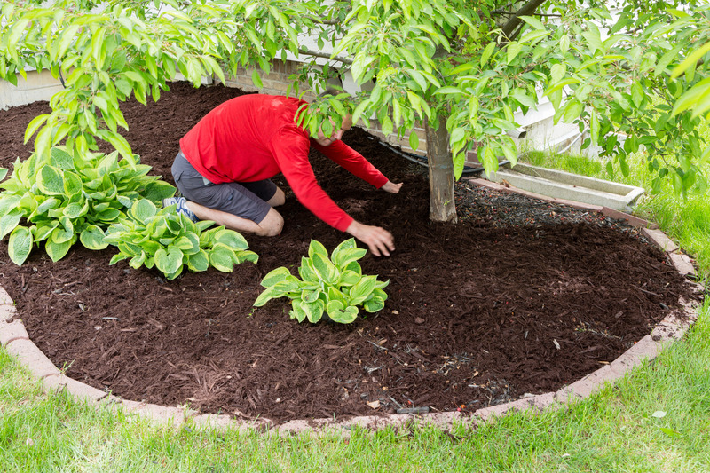 Create a lush outdoor space with landscaping maintenance that Williston homeowners can trust.