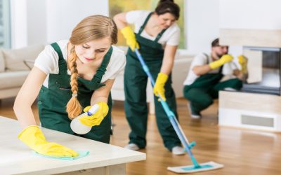 Achieve Stress-Free Living with Home Cleaning In Lincoln, NE for Every Household