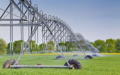 Maximize Crop Yields With Farm And Farmer Record-Keeping Software for American Growers