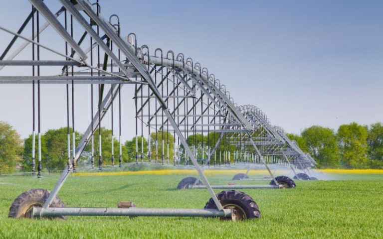 Maximize Crop Yields With Farm And Farmer Record-Keeping Software for American Growers