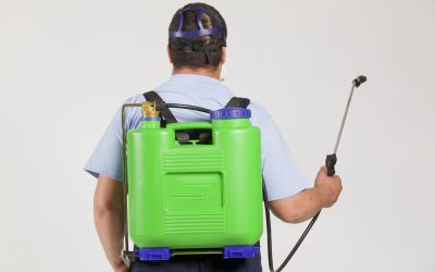 Why Choosing a Pest Control Company in Venice, FL Helps Maintain a Pest-Free Living Space