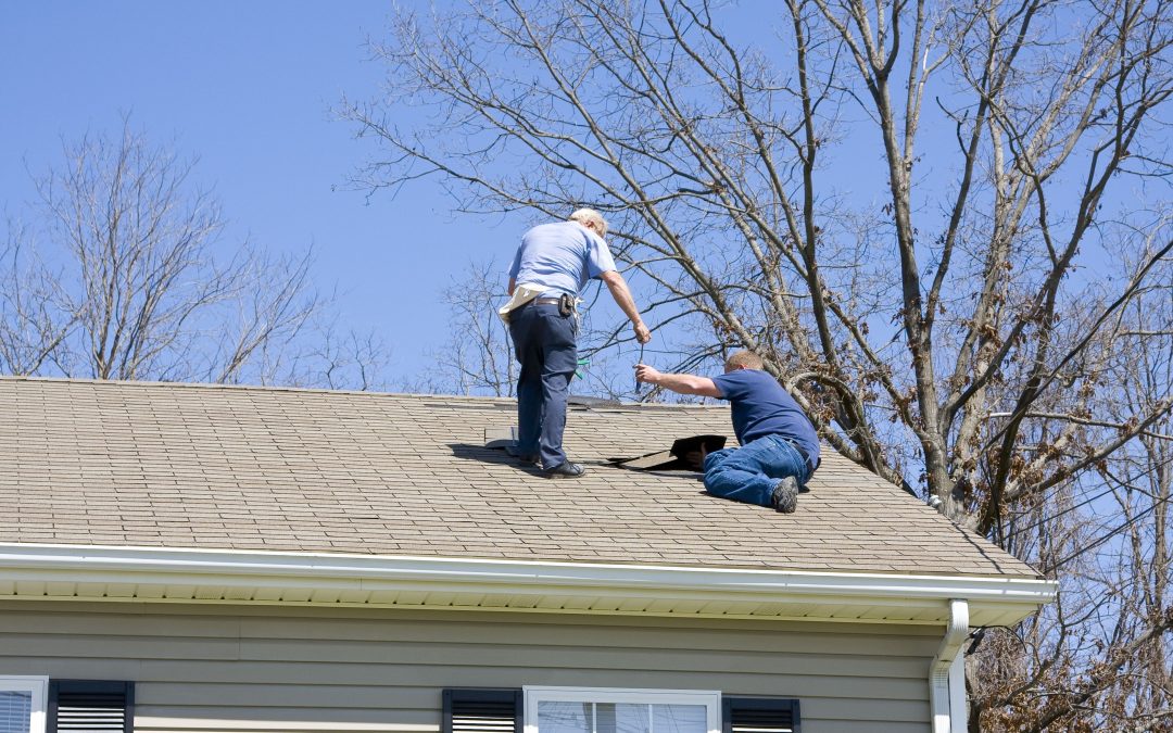 Signs You Need Service from a Reliable Roofing Company in Lakeland, FL