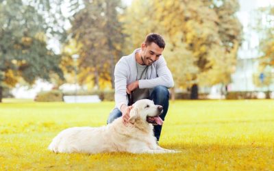 Choosing Peace of Mind with Local Doggy Daycare In Denver for Your Furry Family Member