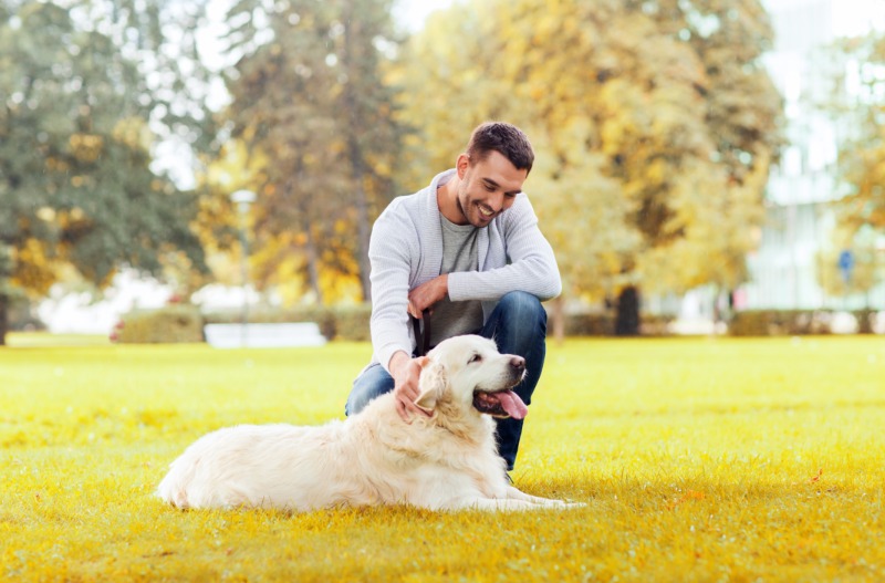 Choosing Peace of Mind with Local Doggy Daycare In Denver for Your Furry Family Member