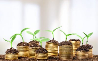 Unlock financial growth with investment solutions Dallas residents trust for diversified portfolios