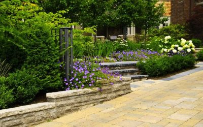 Transform Your Outdoor Space with Landscape Design In Colorado Springs for Lasting Curb Appeal