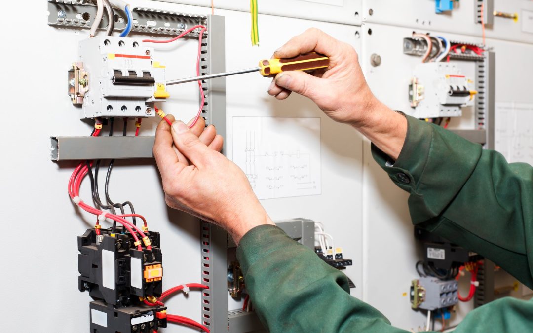 Save on Energy Costs with an Experienced Landscape Lighting Electrician in Tampa, FL