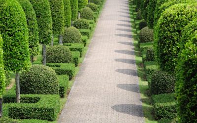 Where Porcelain Pavers Fit Into a Naples Outdoor Space