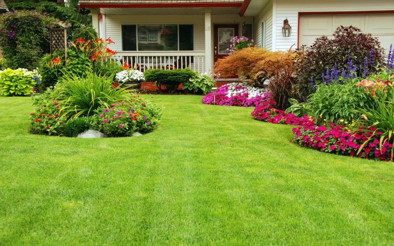 Upgrade curb appeal through creative landscaping designs in Edina, MN for stunning yard transformations