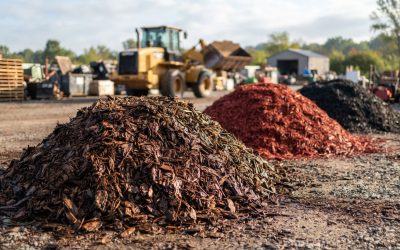 Everything You Need to Know About Choosing the Right Mulch Supplies