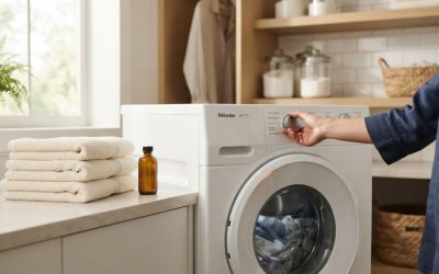 Washer Dryer Combo Maintenance Tips for Reliable Use in Carlsbad